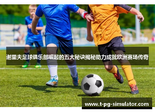 谢里夫足球俱乐部崛起的五大秘诀揭秘助力成就欧洲赛场传奇 谢里夫足球俱乐部崛起的五大秘诀揭秘助力成就欧洲赛场传奇