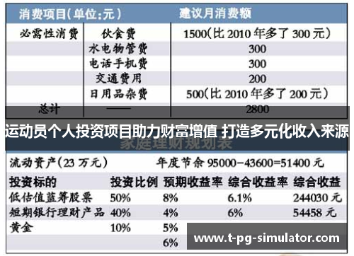 运动员个人投资项目助力财富增值 打造多元化收入来源