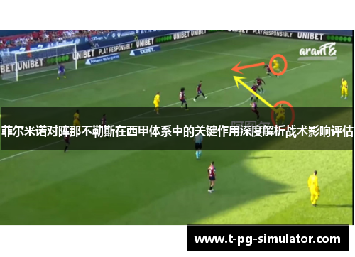 菲尔米诺对阵那不勒斯在西甲体系中的关键作用深度解析战术影响评估 菲尔米诺对阵那不勒斯在西甲体系中的关键作用深度解析战术影响评估